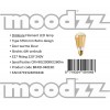 Moodzz ST64 Dimbare Filament Led lamp